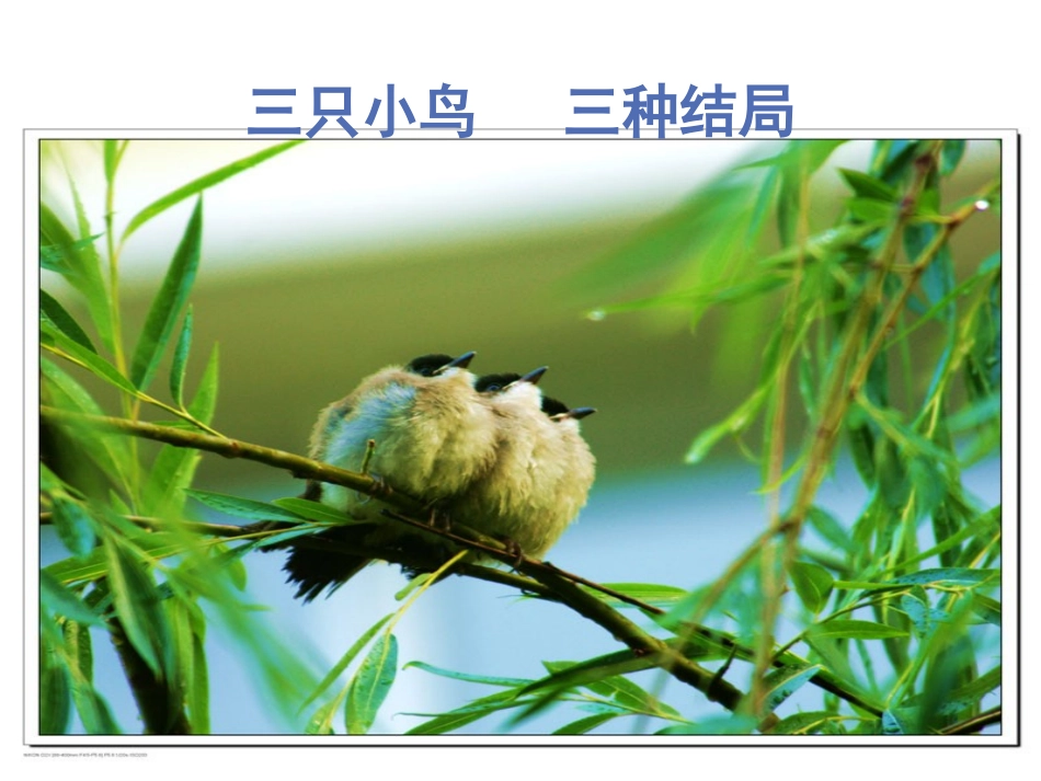 正确对待理想与现实_第1页
