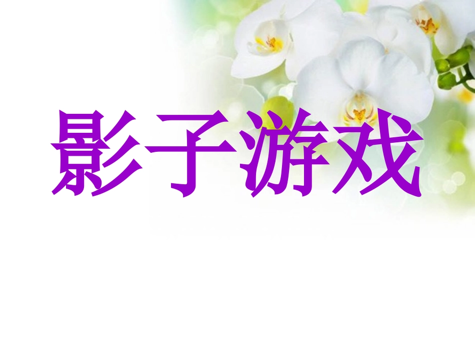 影子游戏课件_第2页