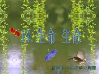 人教版四年级下册19《生命生命》第二课时PPT