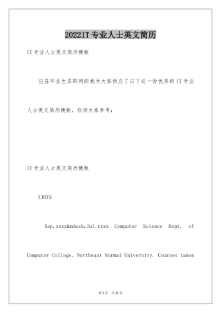 2024IT专业人士英文简历