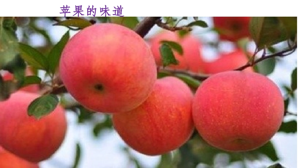 自主导航刘锦涛_第2页