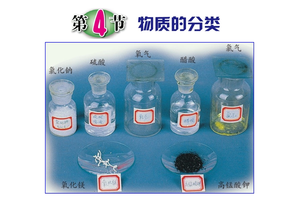 第4节物质的分类（2课时）_第1页