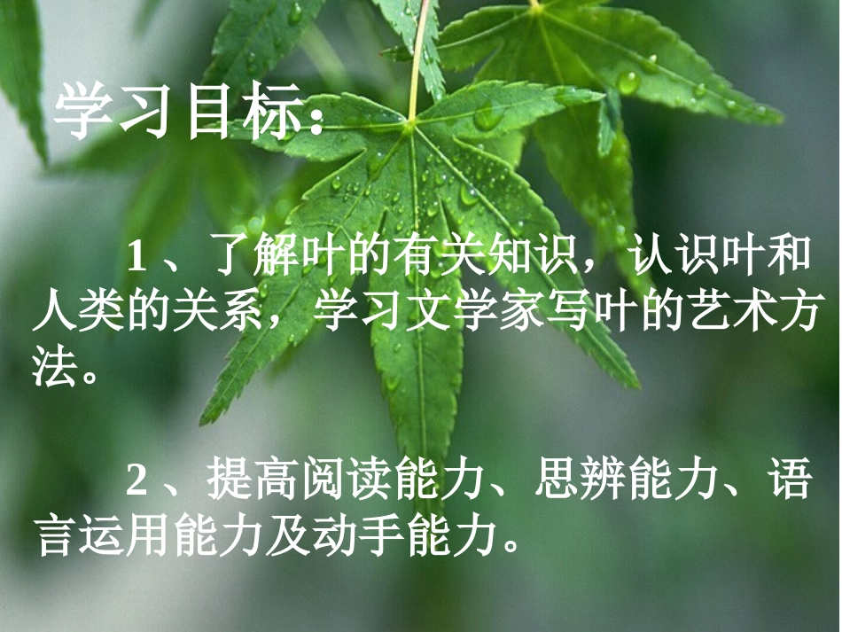 专题__叶课件_第2页