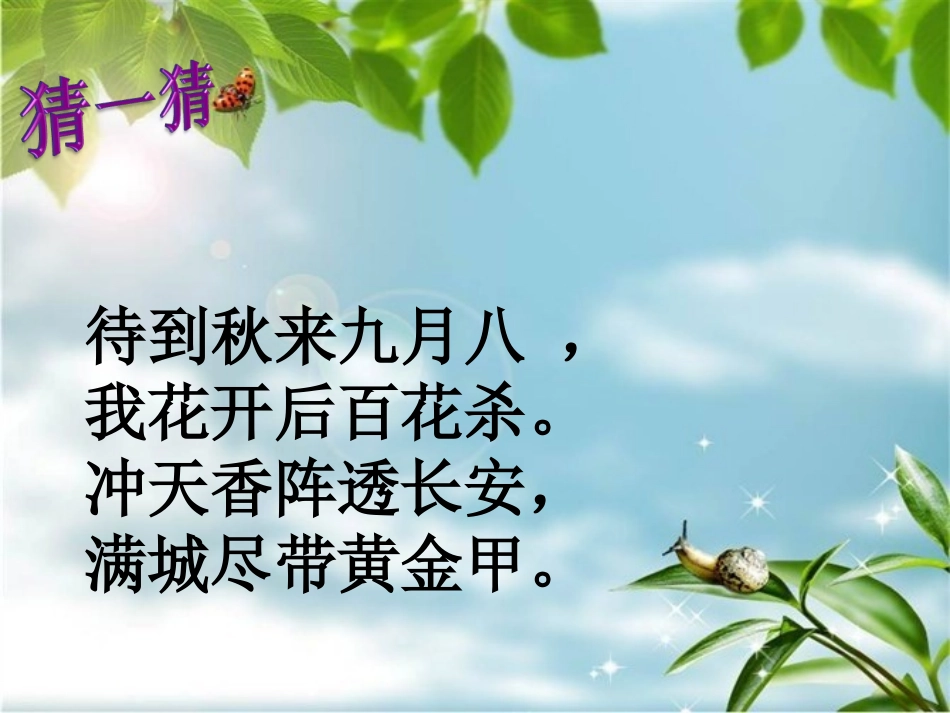 生物入侵者课件_第1页