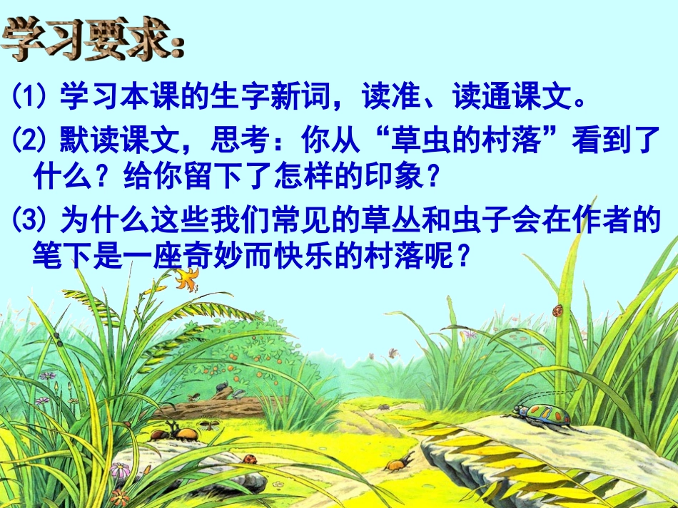 小学语文六年级上册《草虫的村落》课件_第3页