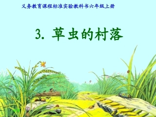 小学语文六年级上册《草虫的村落》课件