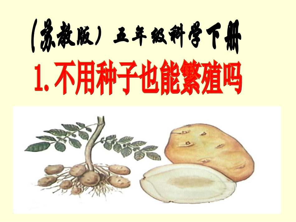 不用种子也能繁殖吗？（PPT）_第1页