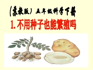 不用种子也能繁殖吗？（PPT）
