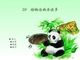 第二十课动物治病办法多