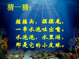 谁画的鱼最大 (2)