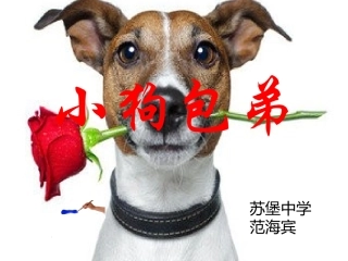 小狗包弟(1)
