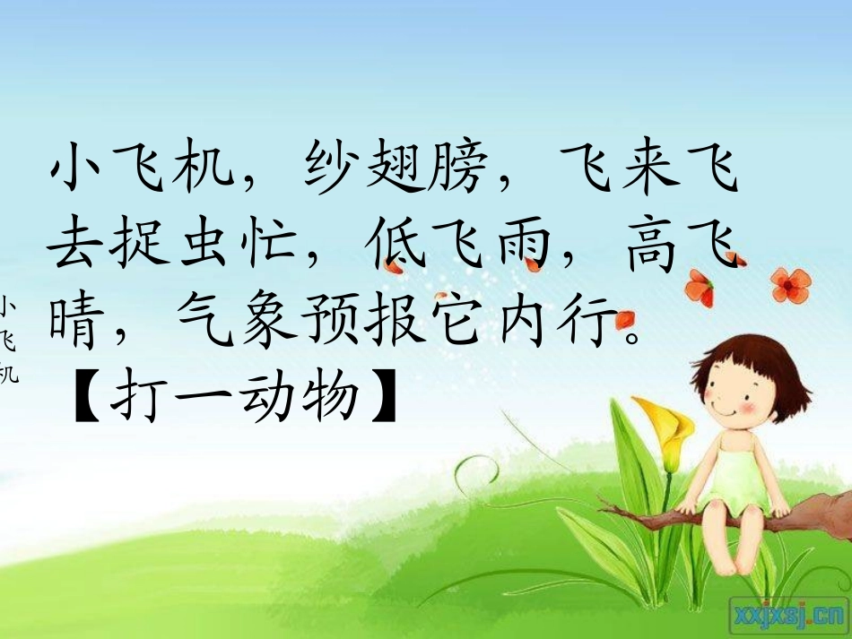 《放飞蜻蜓》课件_第1页