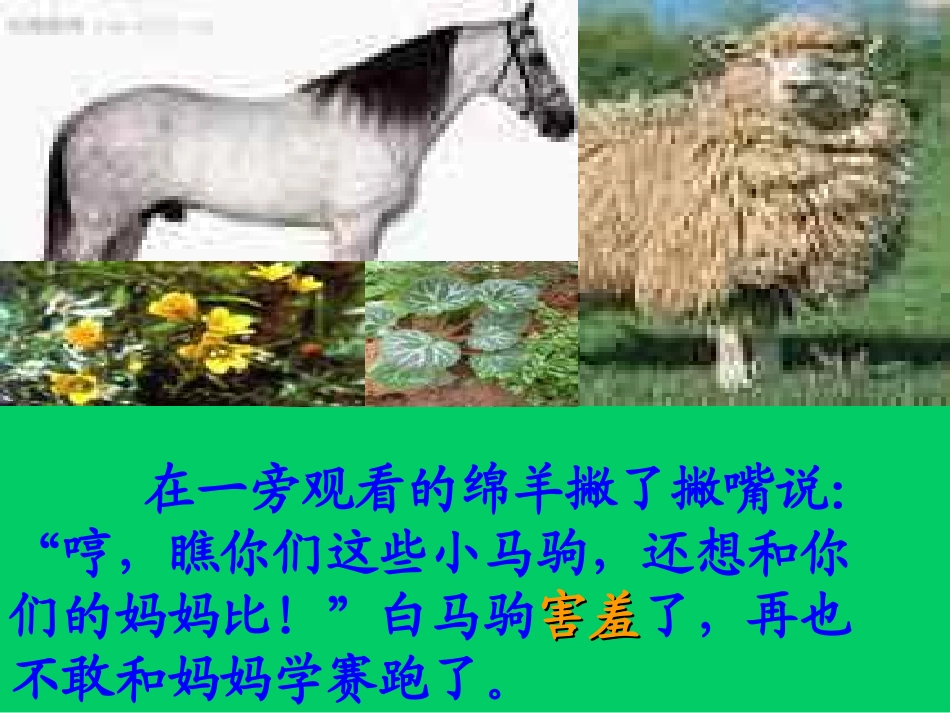 小学二年级语文成功的路(课件) (2)_第3页