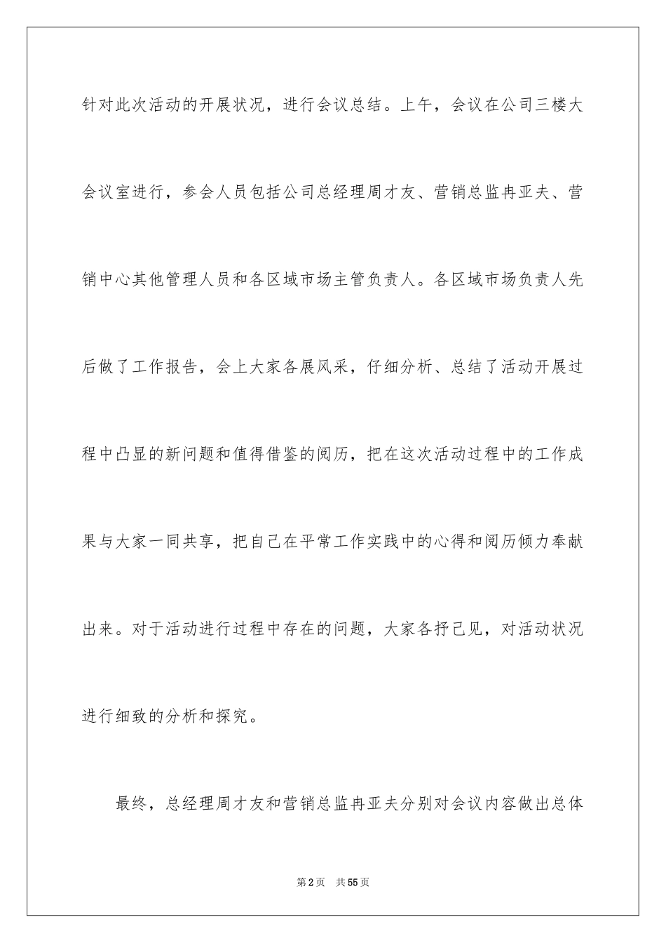 2024促销活动总结_121_第2页