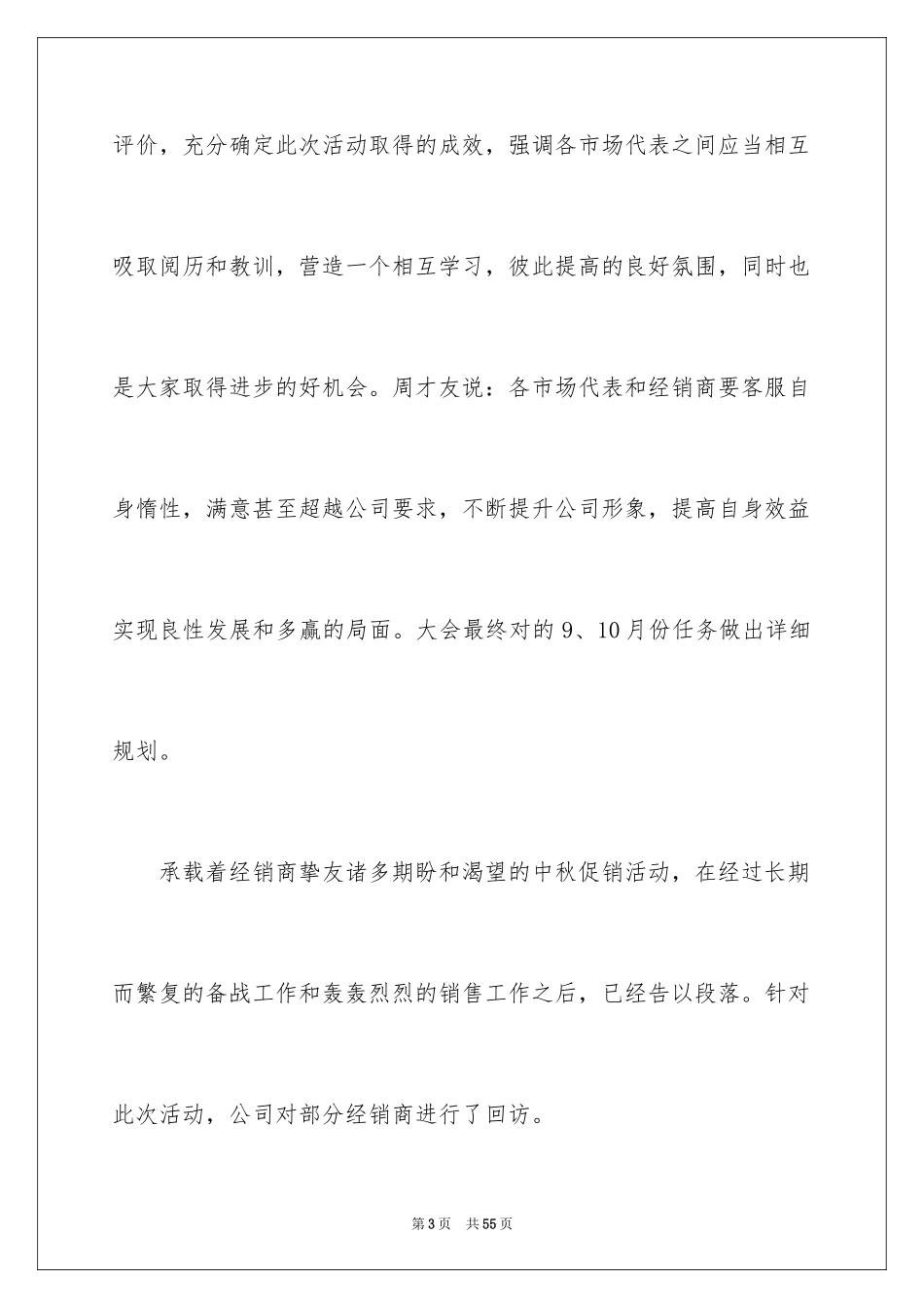2024促销活动总结_121_第3页