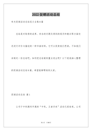 2024促销活动总结_121