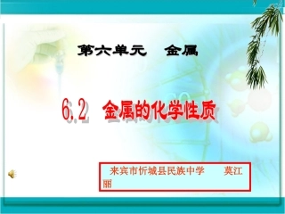 金属的化学性质 