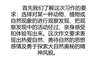 大自然的启示作文