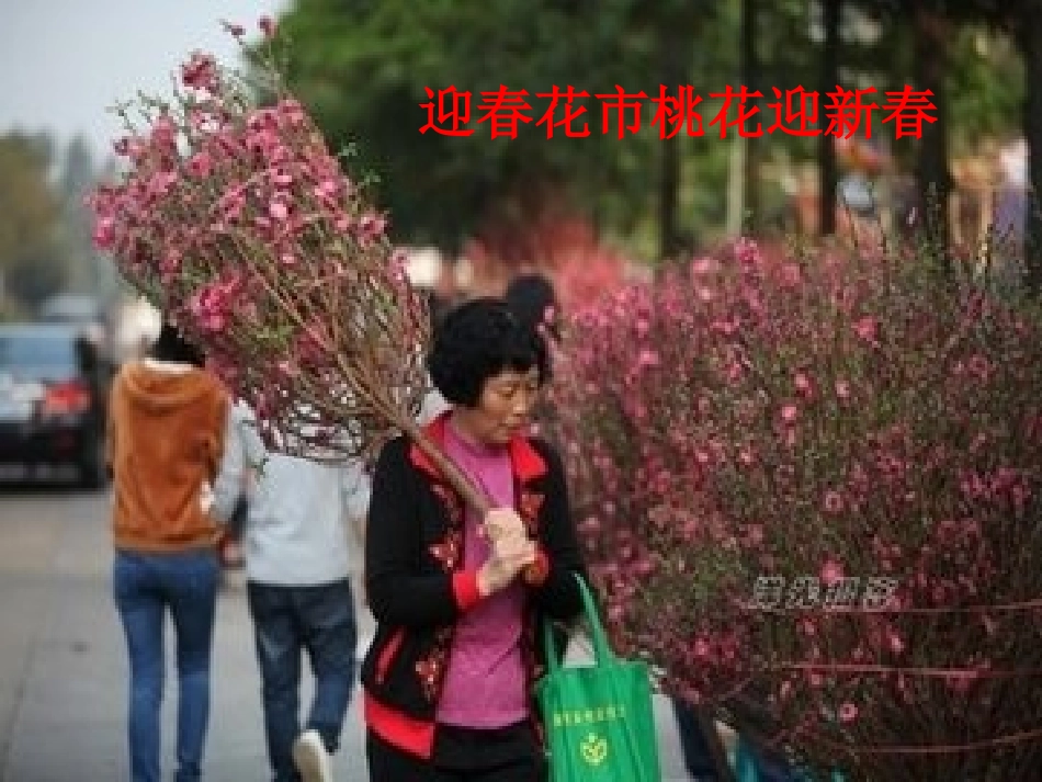 《桃夭》课件_第2页