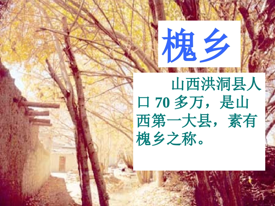 槐乡的孩子课件_第3页