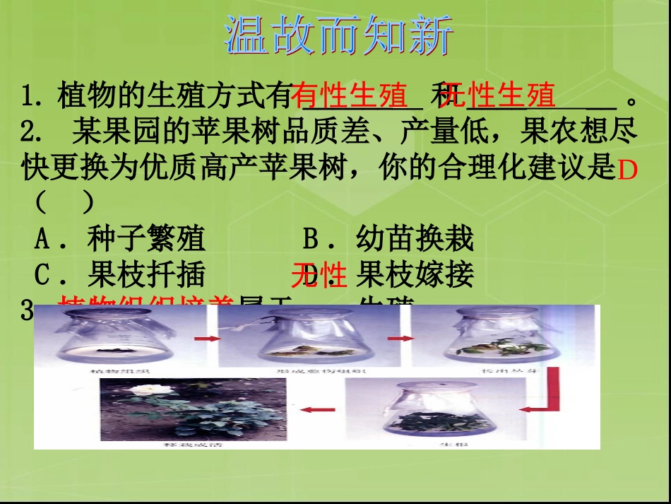 《昆虫的生殖和发育》课件(人教版) (2)_第1页