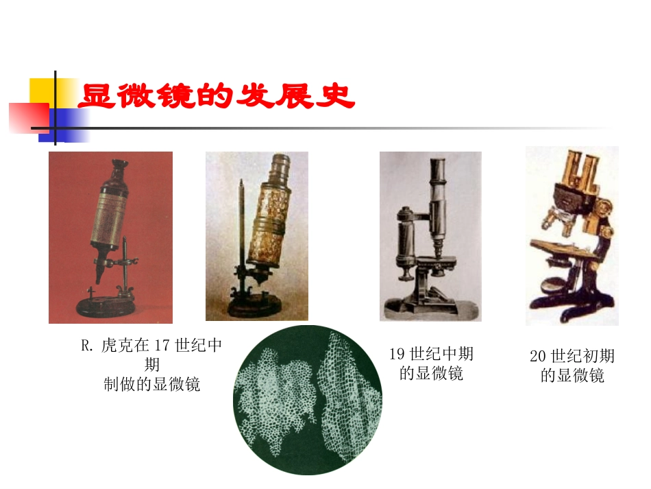 第3课时22细胞_第2页