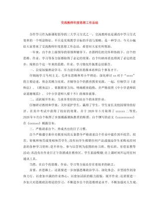 交流教师年度思想工作总结 