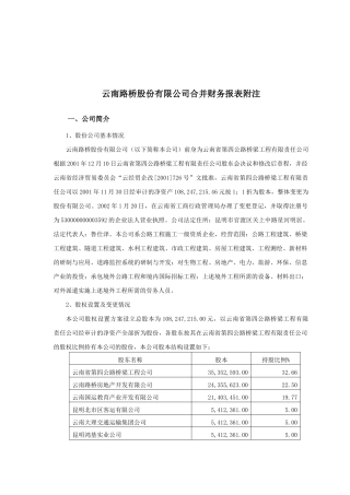 云南某公司合并财务报表附注