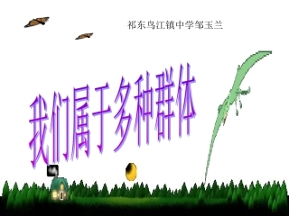 七年级思品课件生命之间