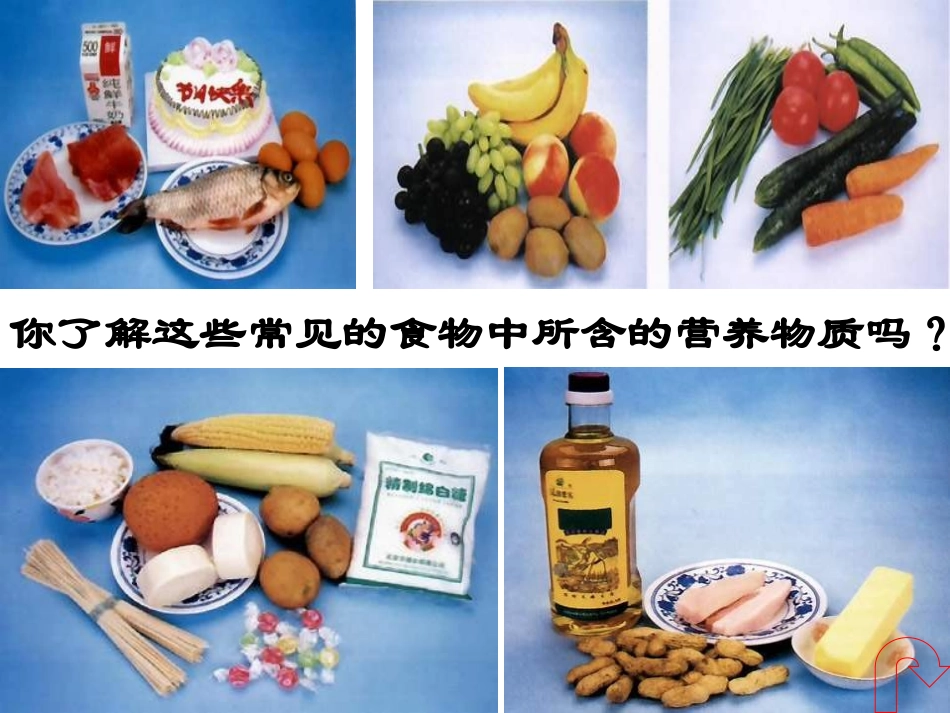 第十二章课题1《人类重要的营养物质》_第2页