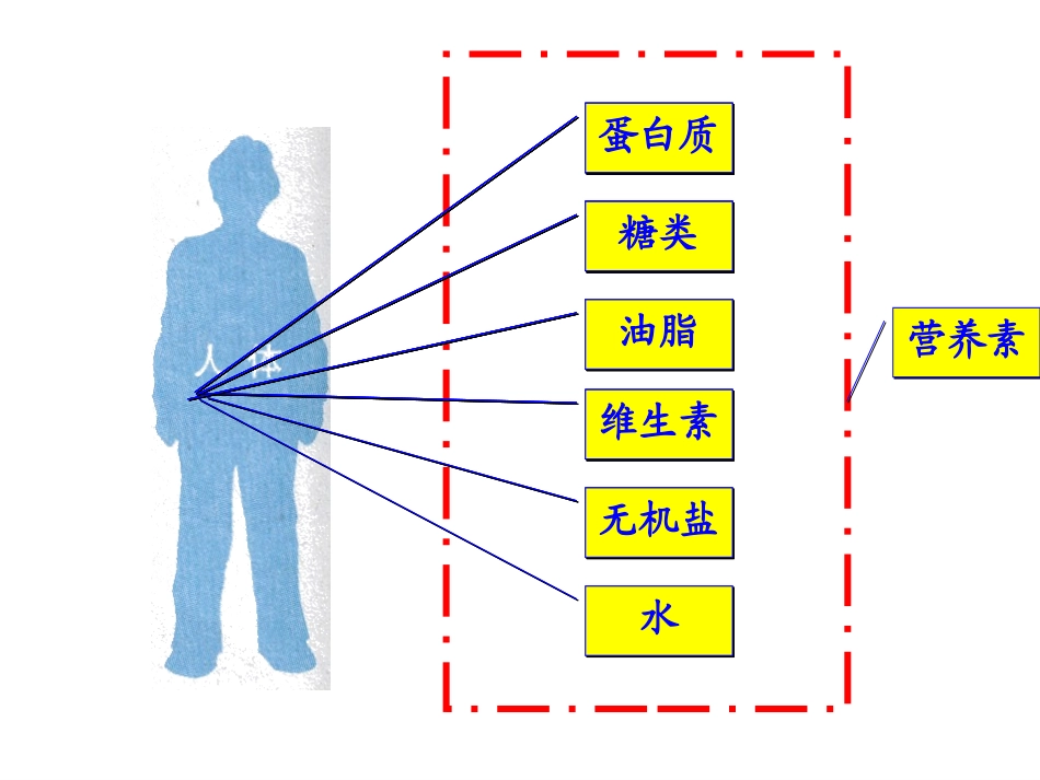 第十二章课题1《人类重要的营养物质》_第3页