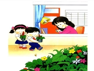 老师_您好(第一课时）