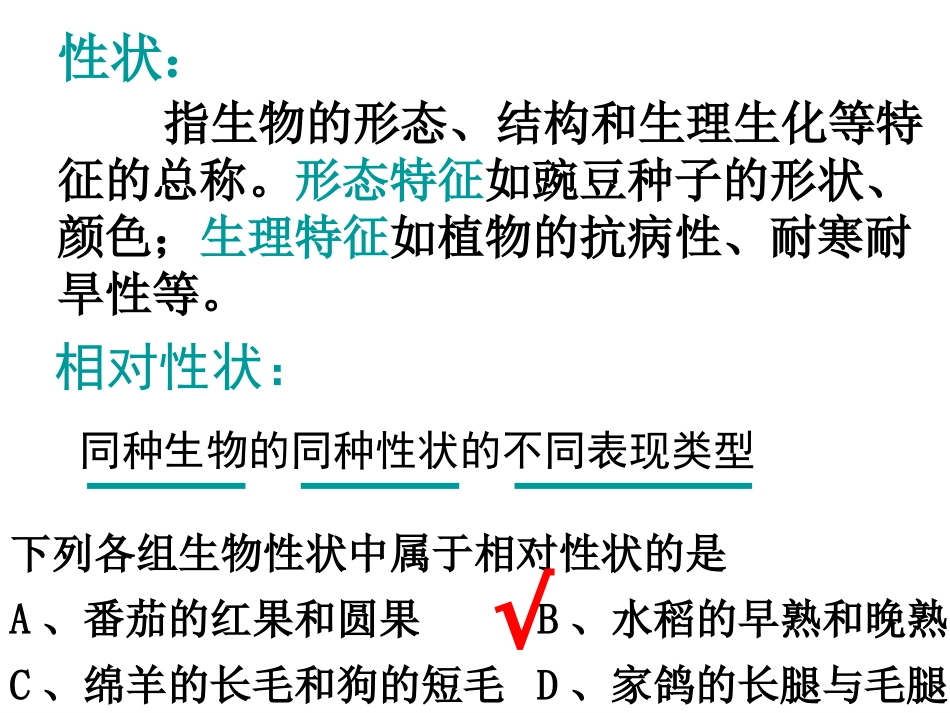 基因的分离定律_第3页