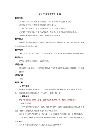 《谁选择了它们》教案1