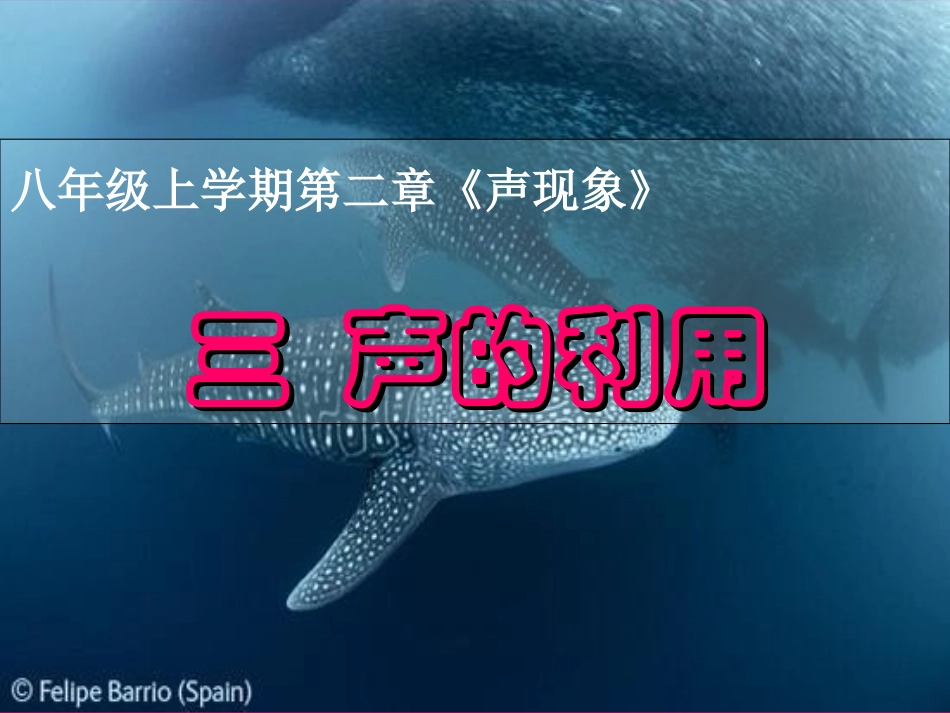 人教版八年级上册物理第2章第3节声的利用_课件_第3页