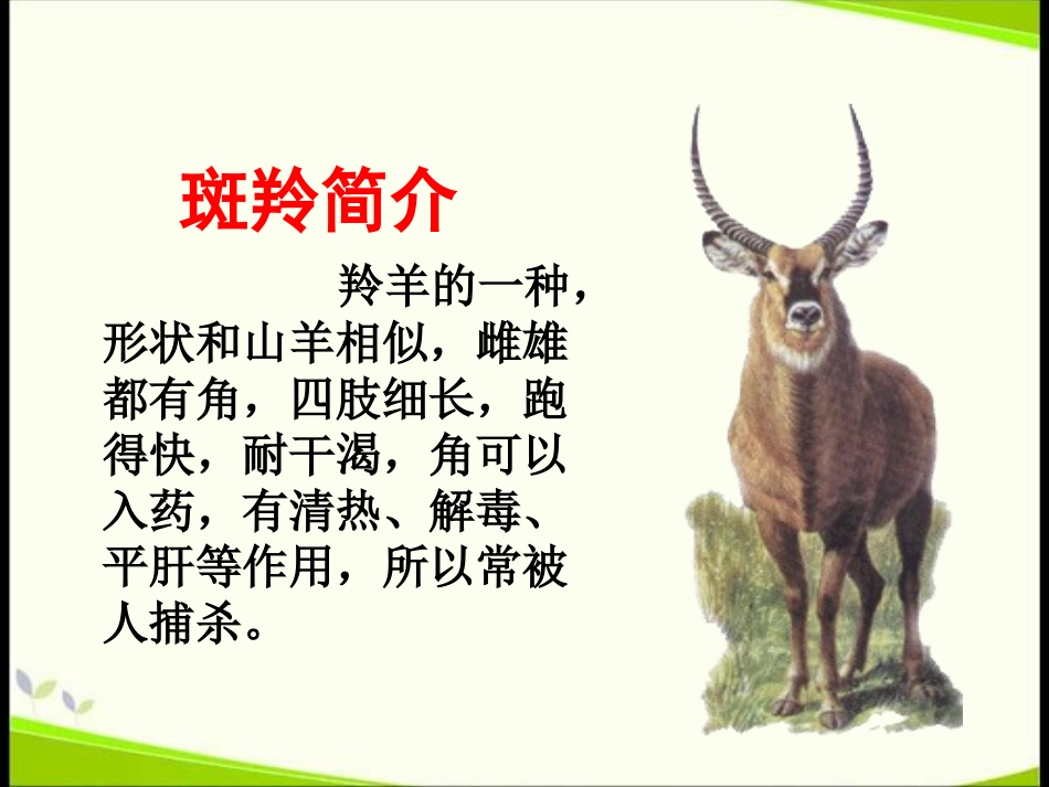 《斑羚飞渡》公开课_第2页