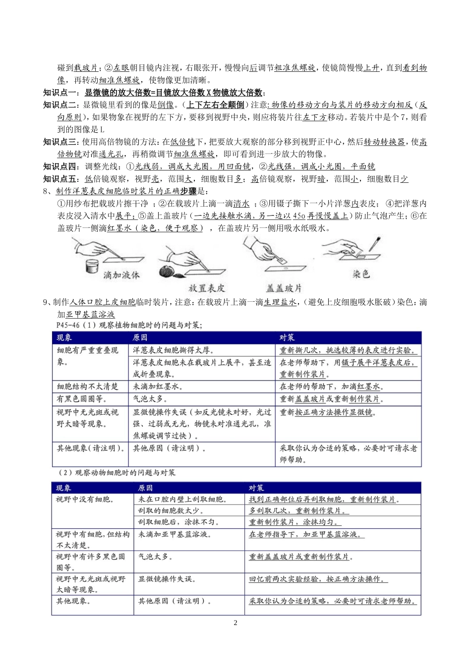 七年级上第二章复习提纲_第2页