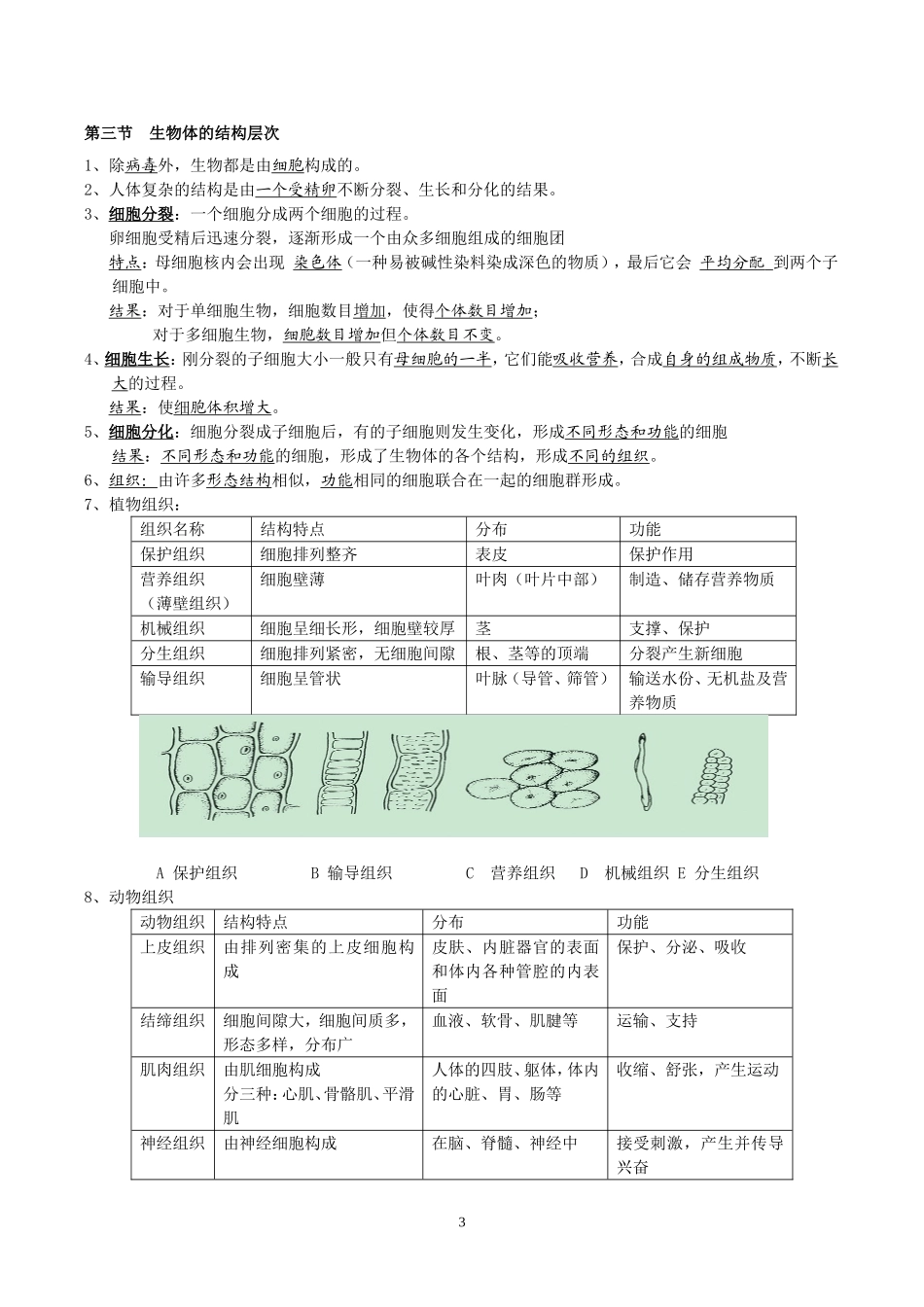 七年级上第二章复习提纲_第3页