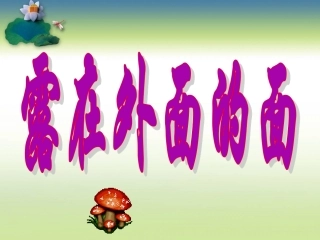 北师大版-露在外面的面