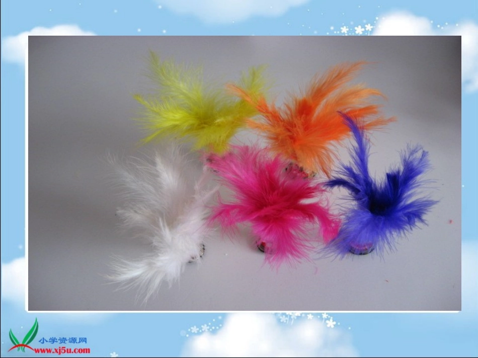 _毽子变乖了_第2页