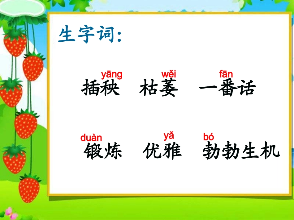 《桃花心木4》PPT课件_第2页