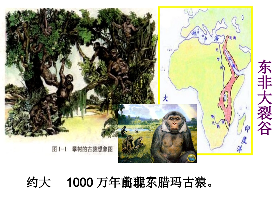 原始先民的家园_第3页