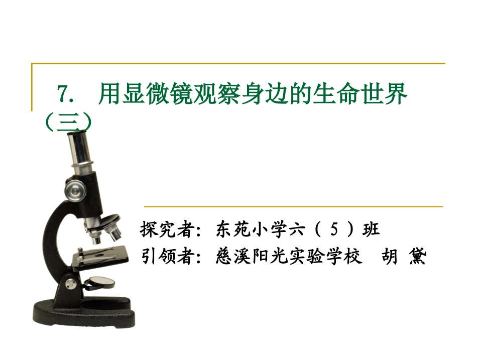 用显微镜观察身边的生命世界（三）_第1页