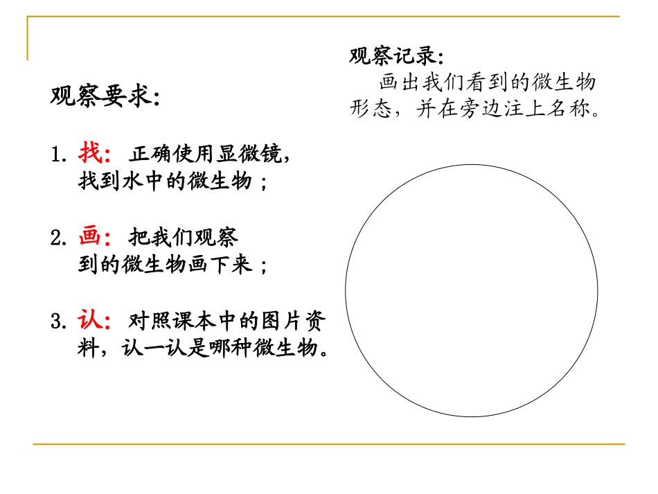 用显微镜观察身边的生命世界（三）_第3页