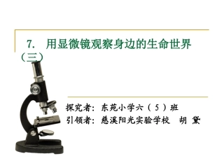 用显微镜观察身边的生命世界（三）