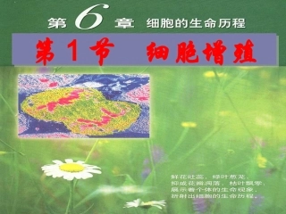 第1节细胞增殖