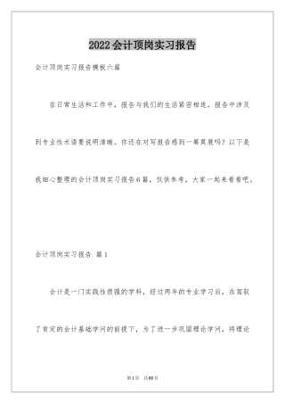 2024会计顶岗实习报告_22