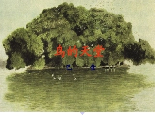 《鸟的天堂》