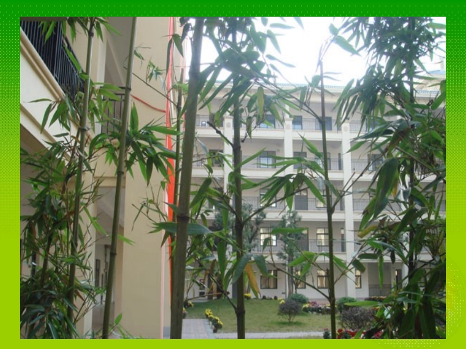 平行四边形面积课件_第2页