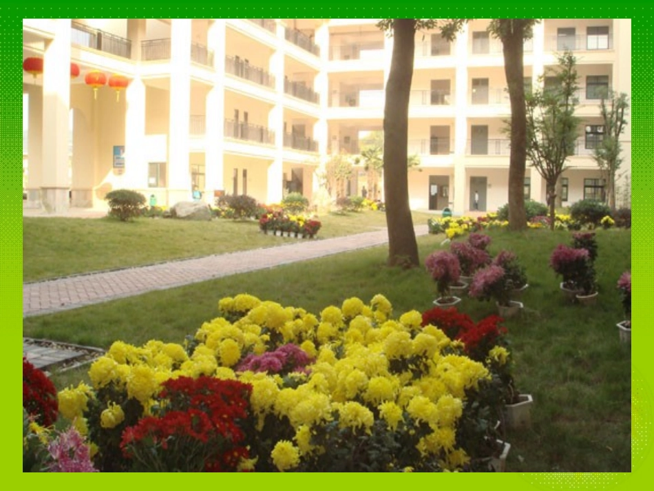 平行四边形面积课件_第3页